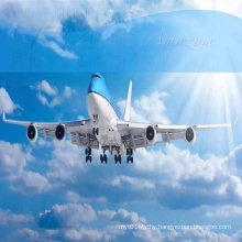Fast and professional air freight from China to usa and Canada amazon warehouse